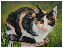 Dierenportretten door Hannah Jong