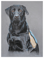 Dierenportretten door Hannah Jong