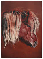 Dierenportretten door Hannah Jong