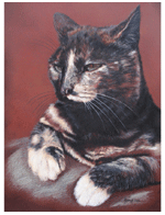 Dierenportretten door Hannah Jong