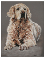 Dierenportretten door Hannah Jong