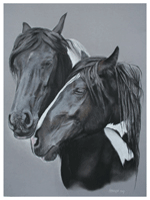 Dierenportretten door Hannah Jong