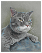 Dierenportretten door Hannah Jong