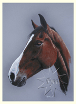 Dierenportretten door Hannah Jong